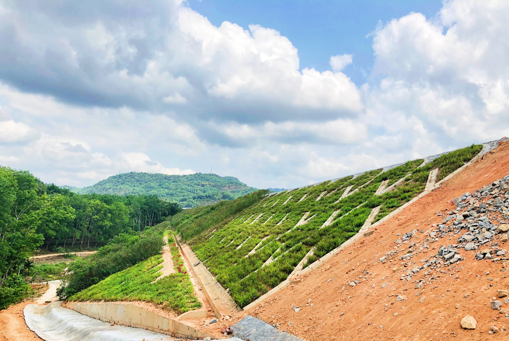 NG大舞台,有梦你就来