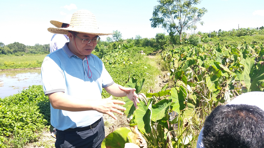 NG大舞台,有梦你就来