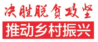 NG大舞台,有梦你就来