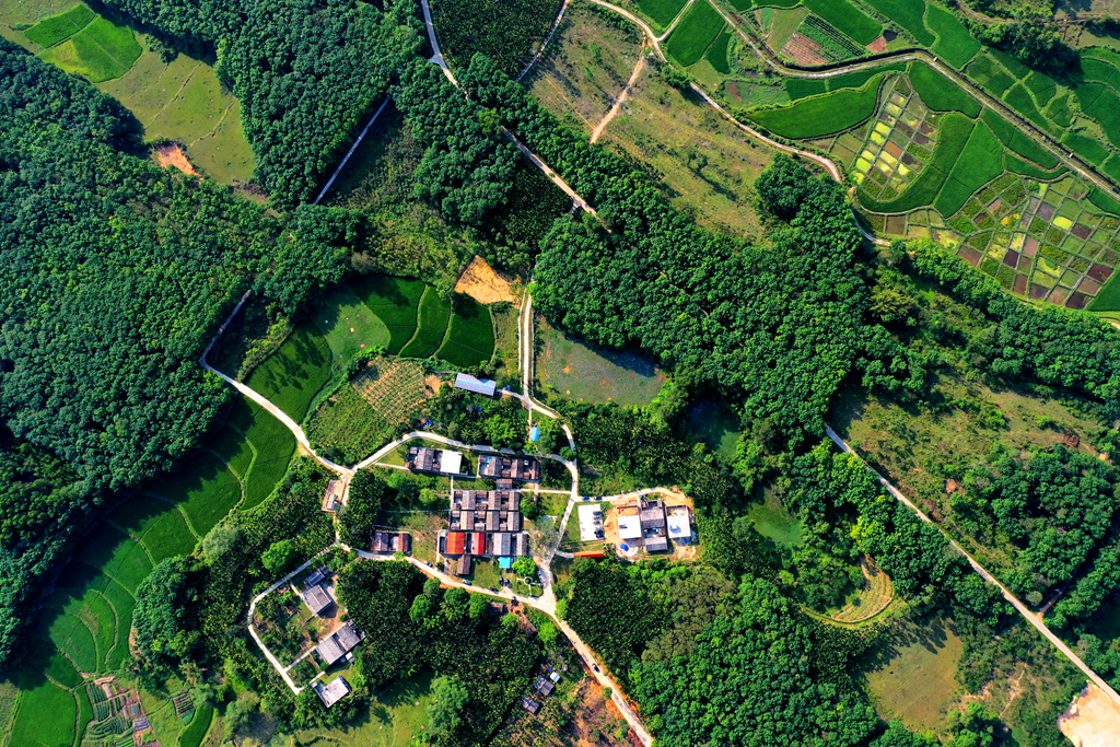 NG大舞台,有梦你就来