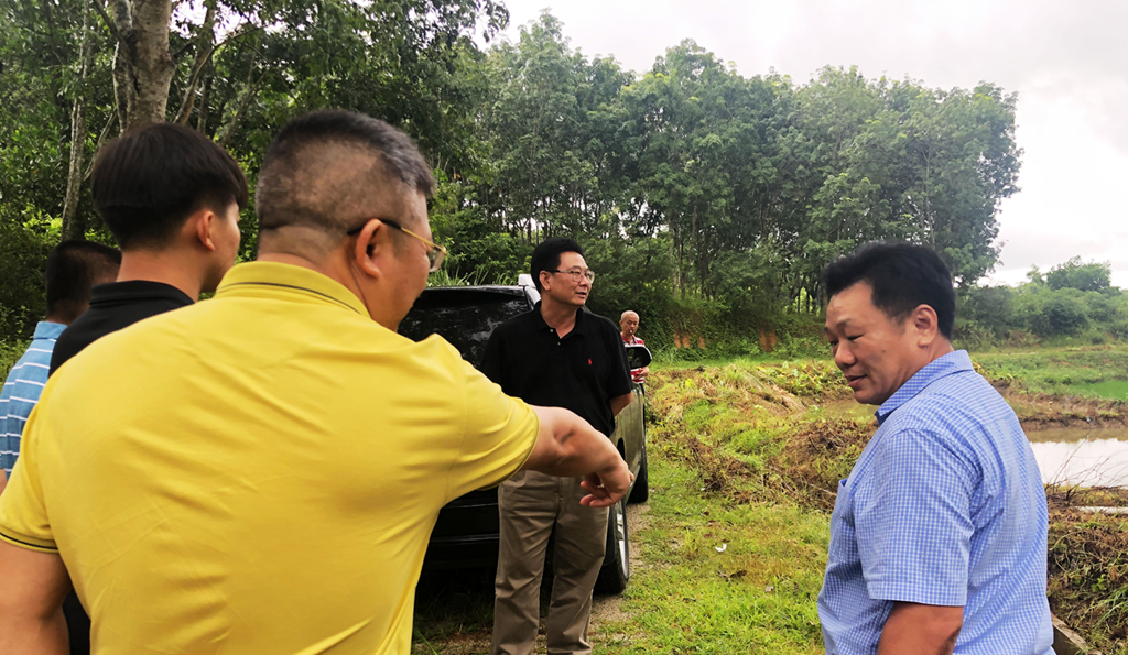 NG大舞台,有梦你就来