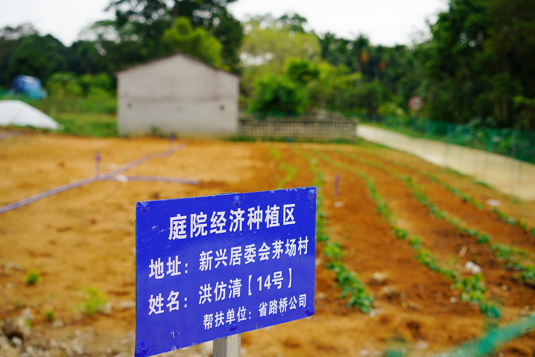 NG大舞台,有梦你就来