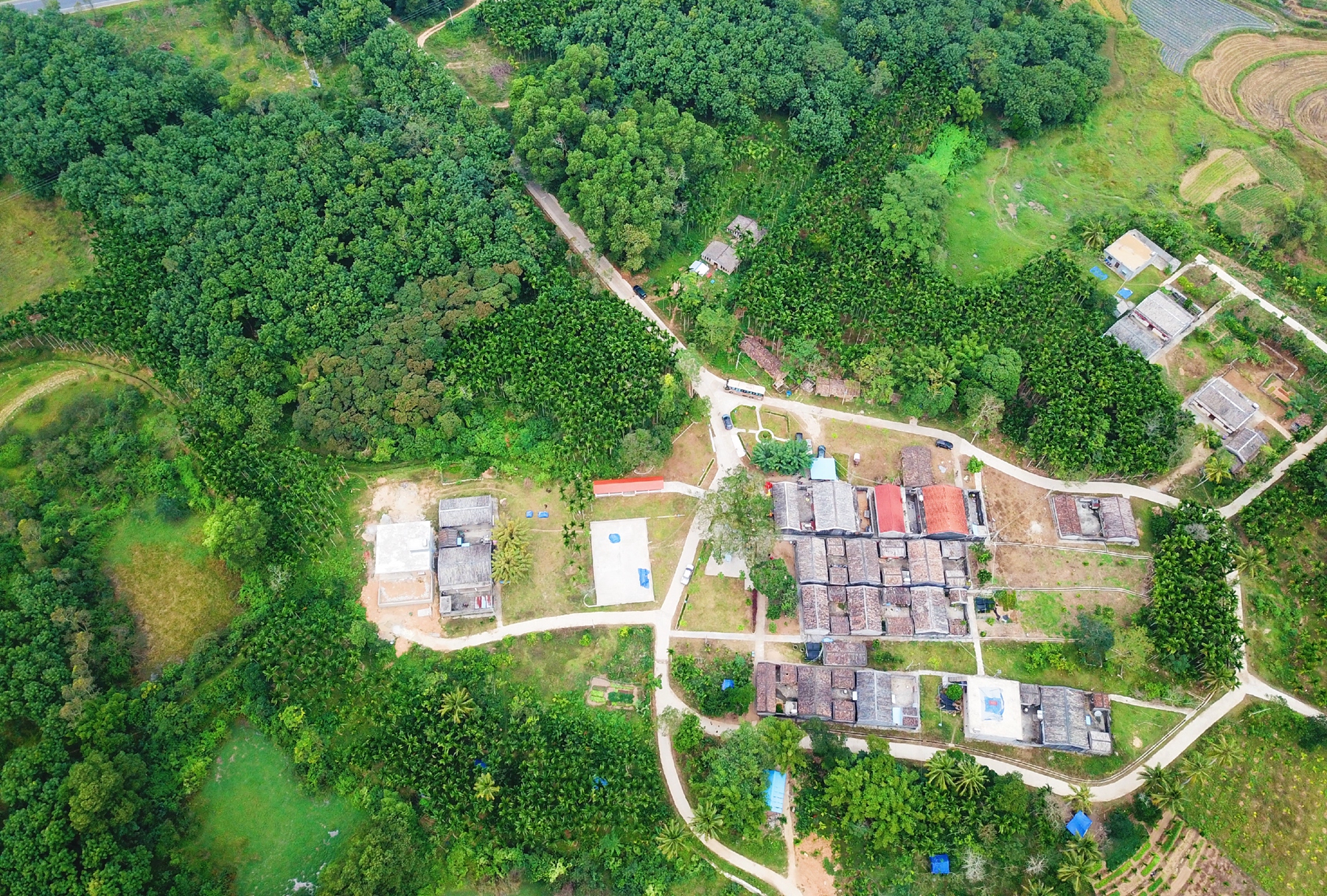 NG大舞台,有梦你就来