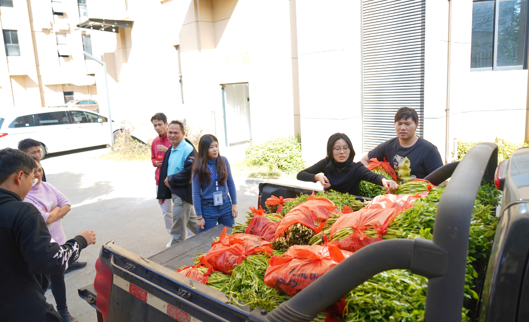 NG大舞台,有梦你就来