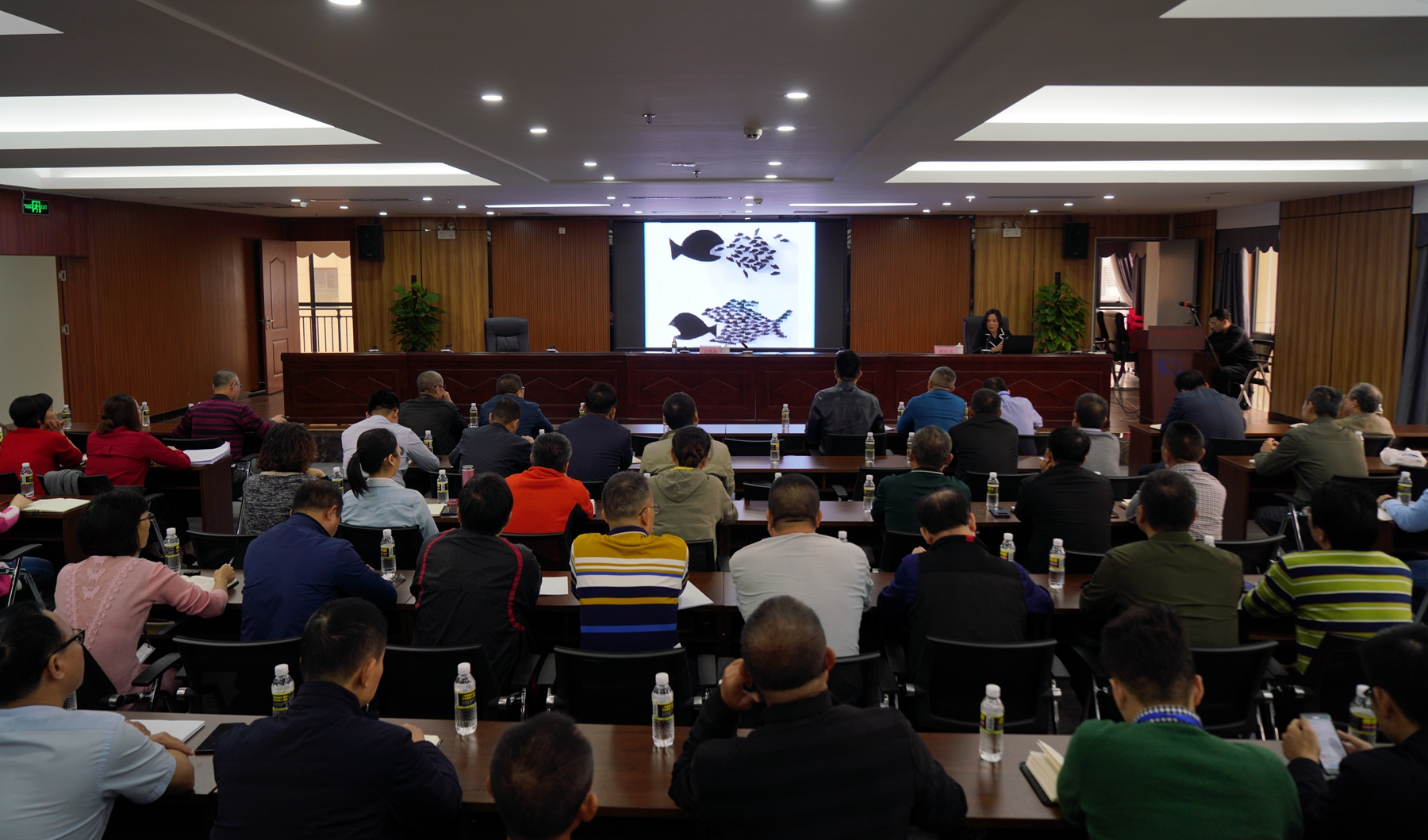 NG大舞台,有梦你就来