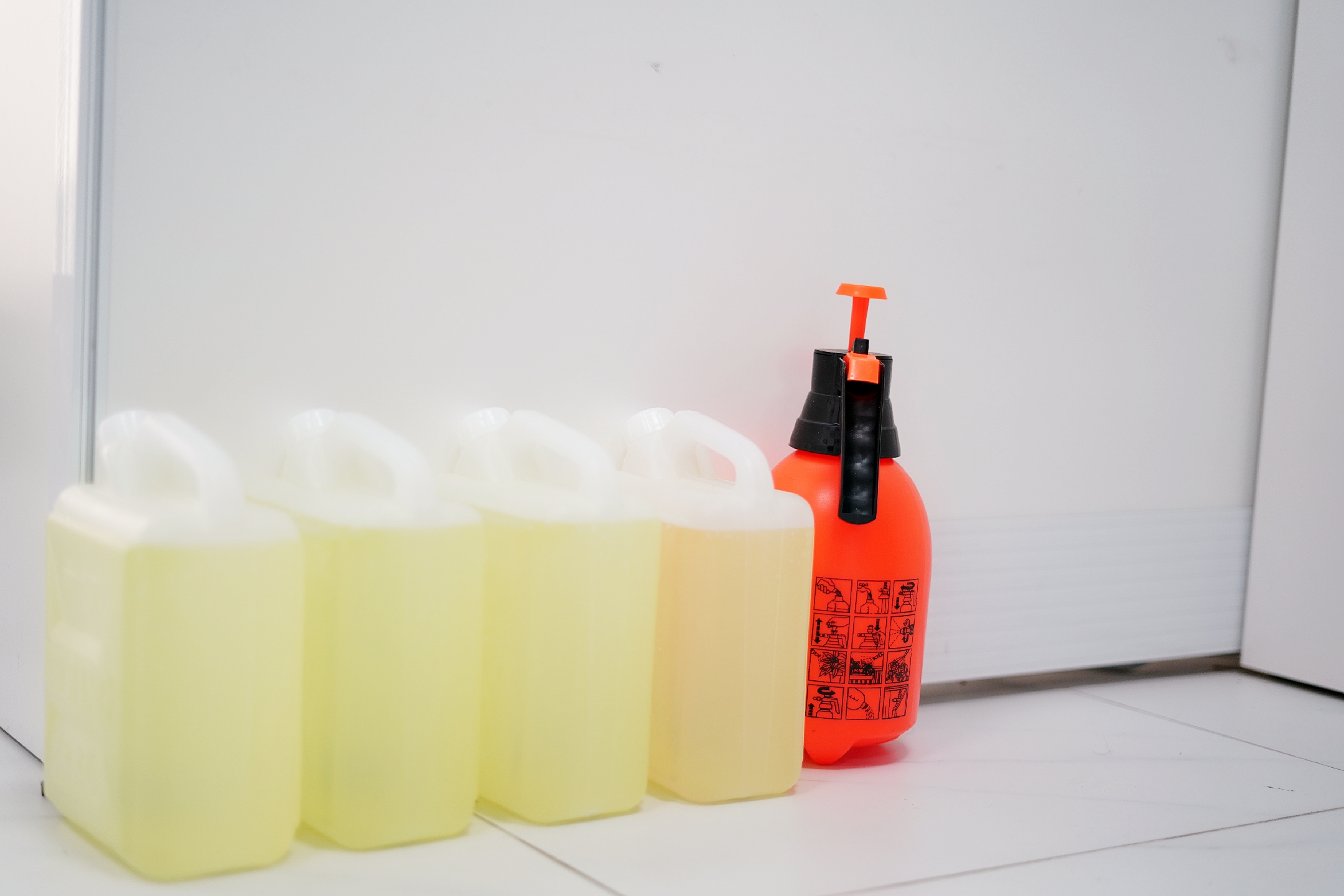 NG大舞台,有梦你就来