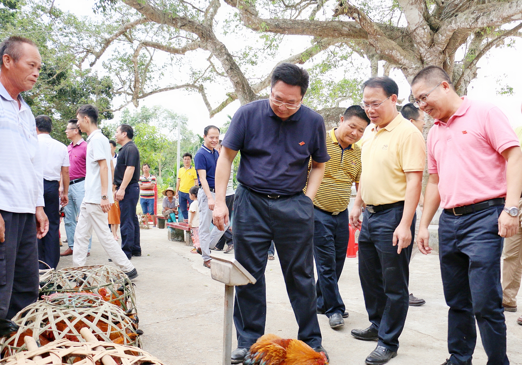 NG大舞台,有梦你就来
