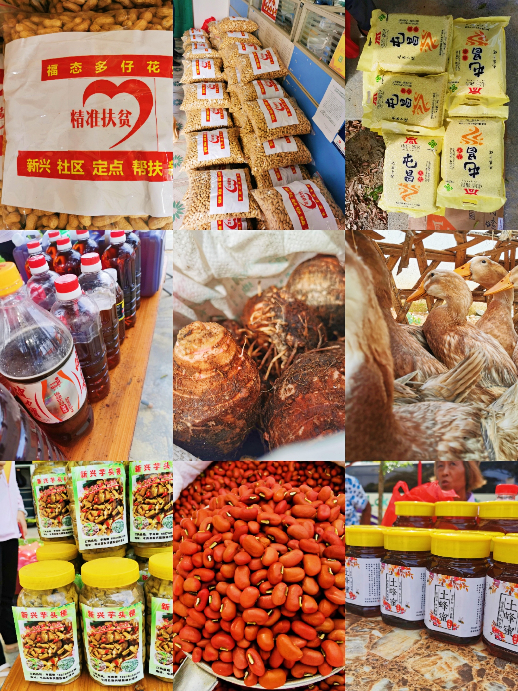 NG大舞台,有梦你就来