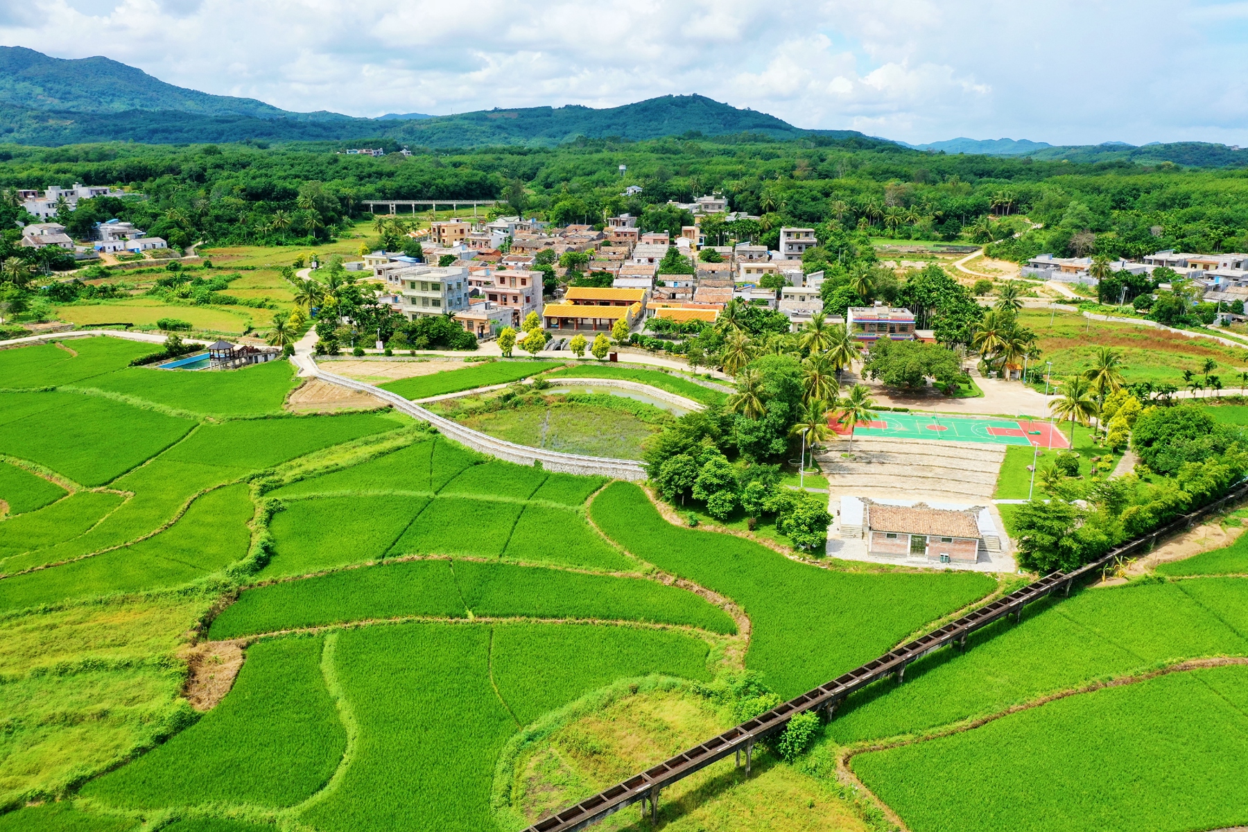 NG大舞台,有梦你就来