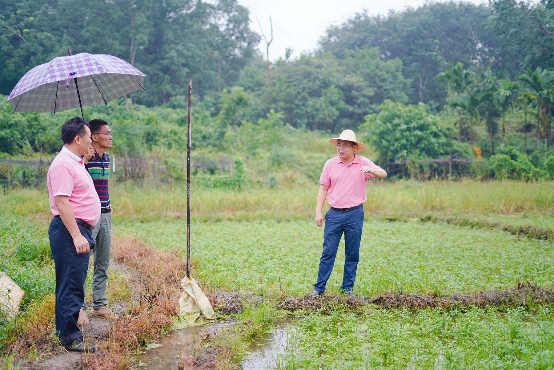 NG大舞台,有梦你就来