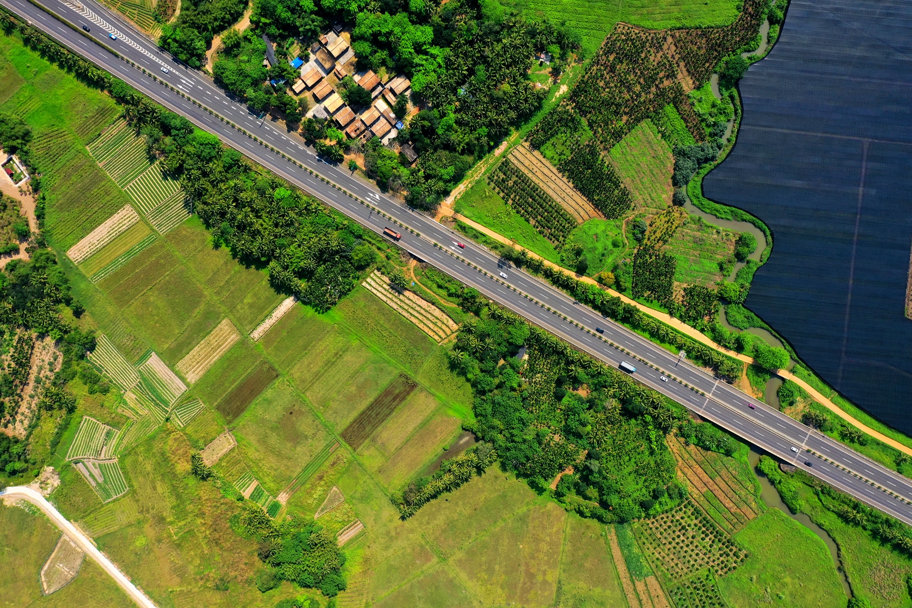 NG大舞台,有梦你就来