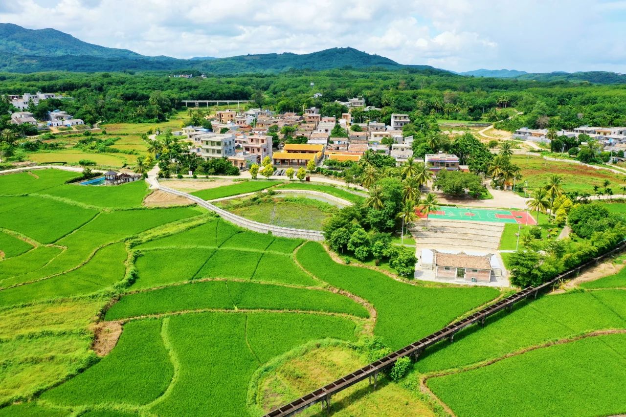 NG大舞台,有梦你就来