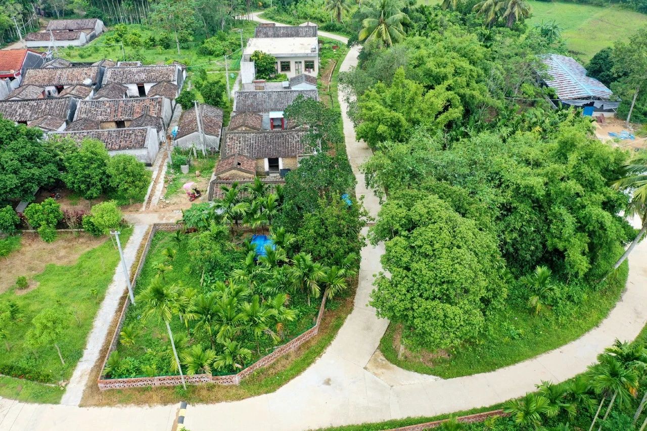 NG大舞台,有梦你就来