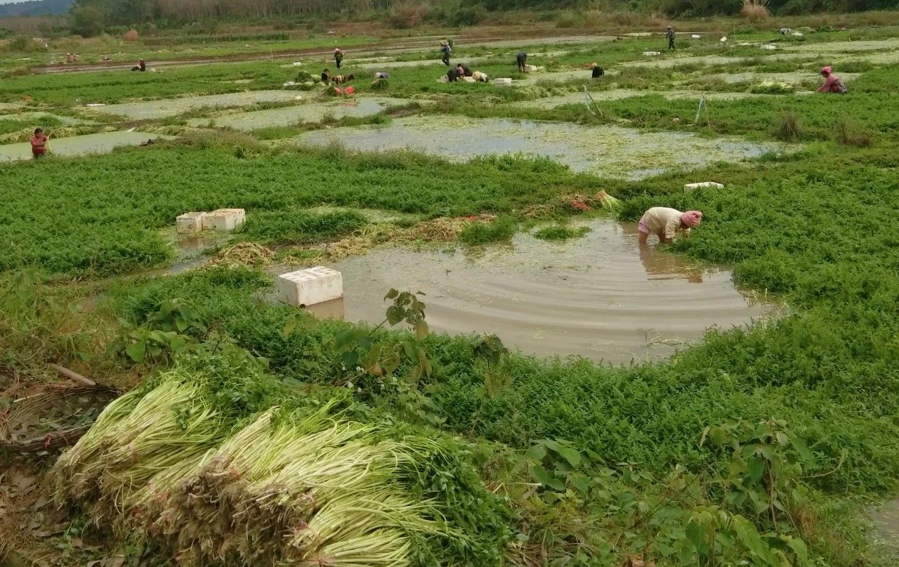 NG大舞台,有梦你就来