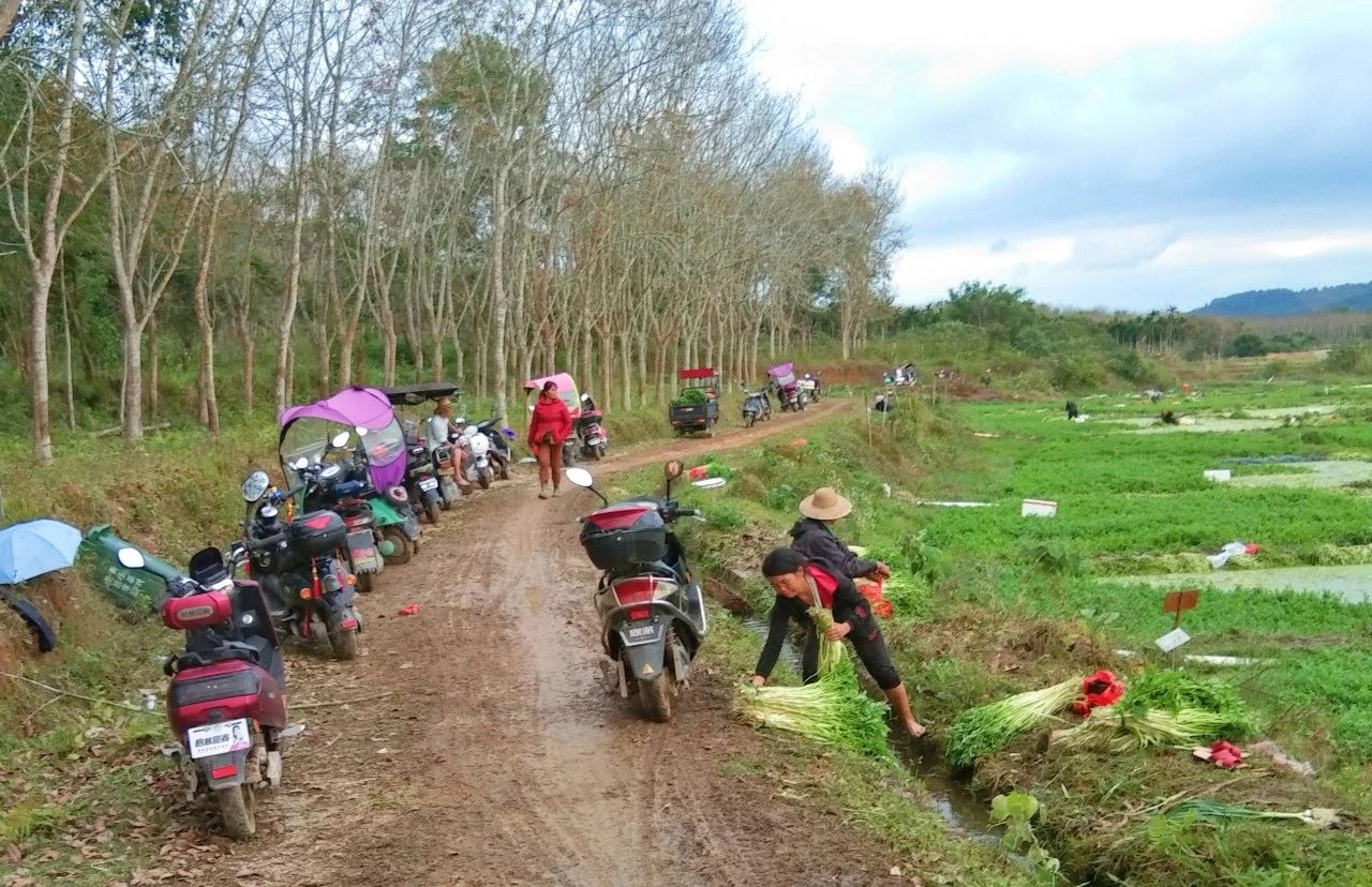 NG大舞台,有梦你就来