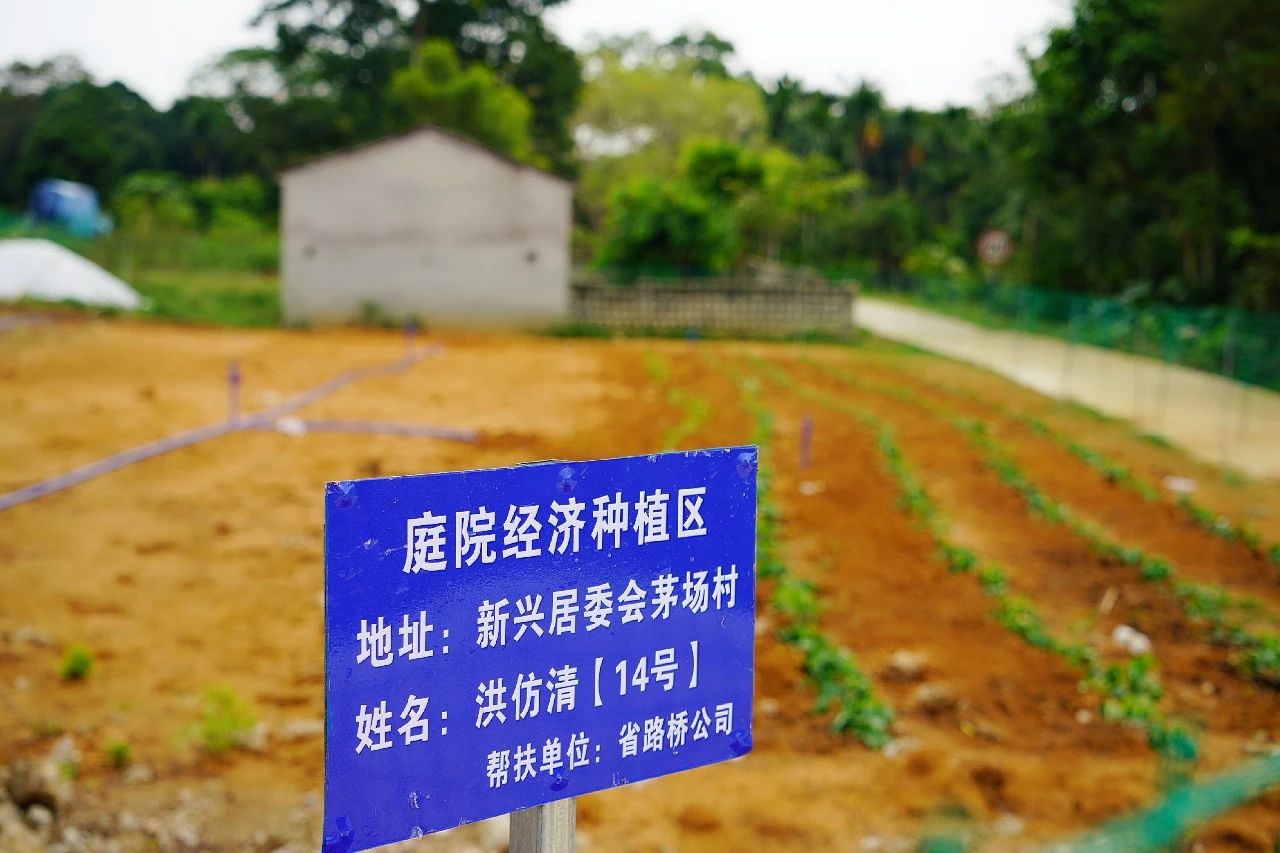 NG大舞台,有梦你就来