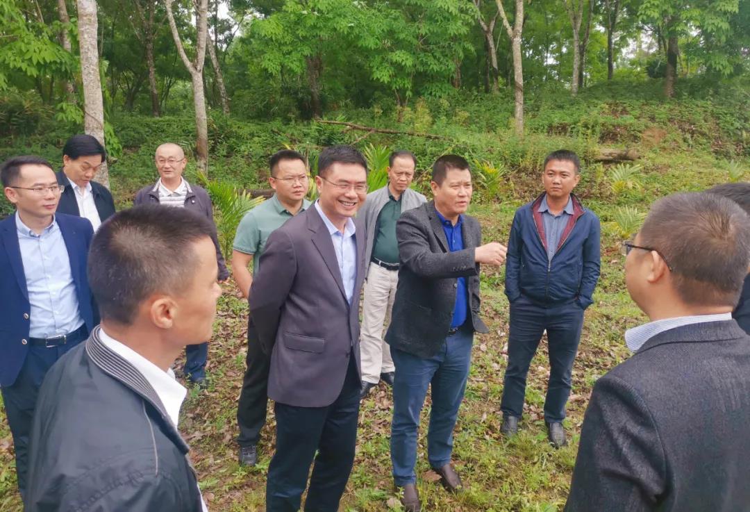 NG大舞台,有梦你就来