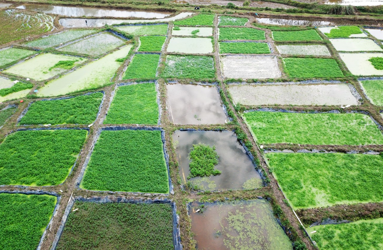 NG大舞台,有梦你就来