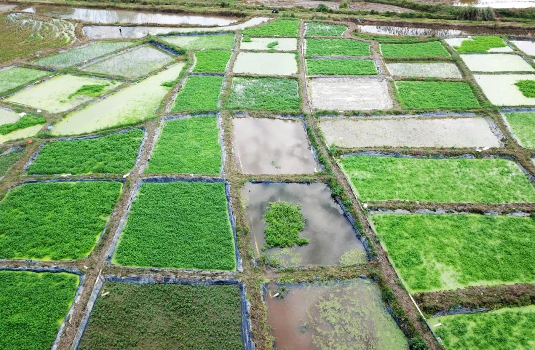 NG大舞台,有梦你就来